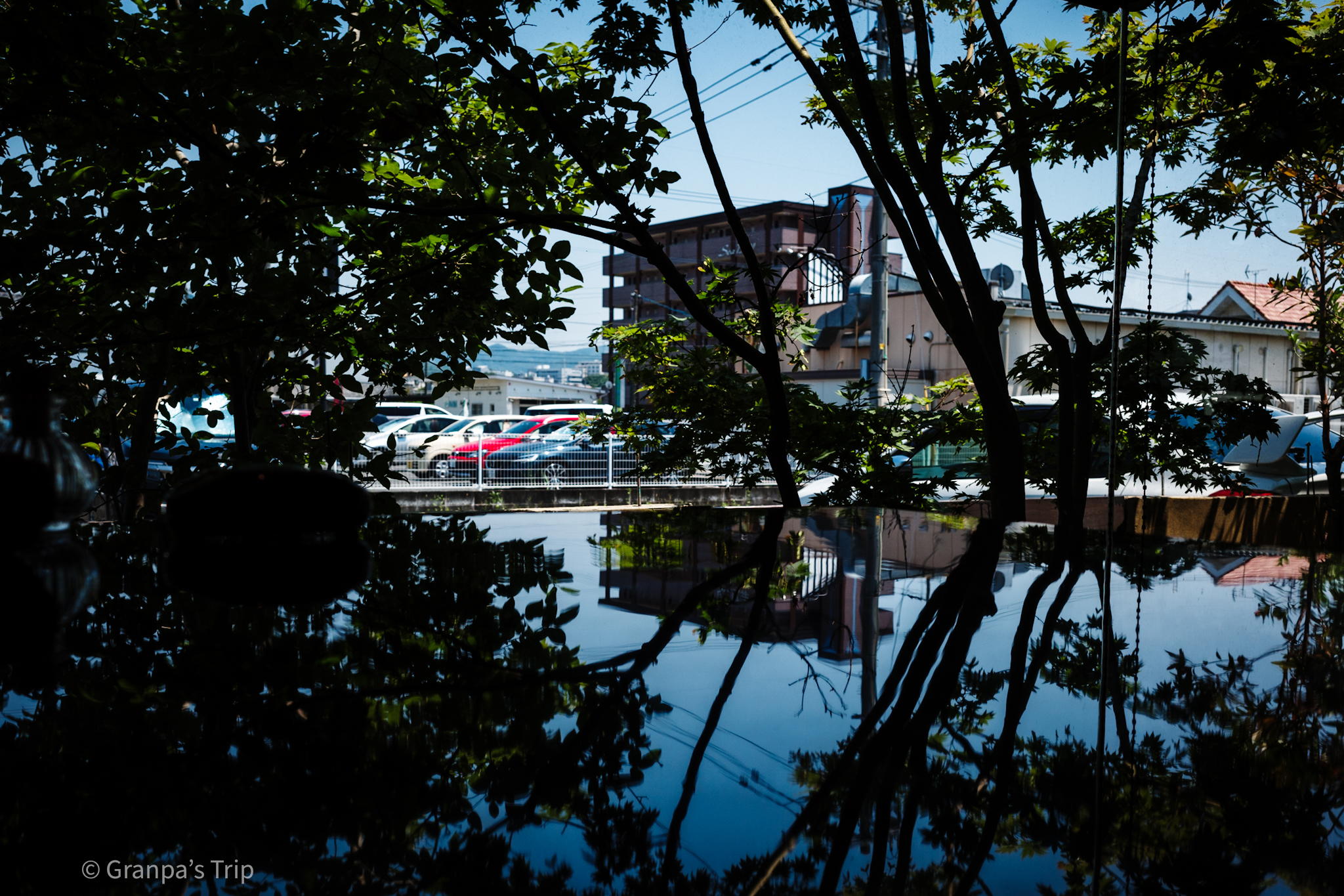 RICOH GR III f/5 1/640sec ISO-160 18.3mm