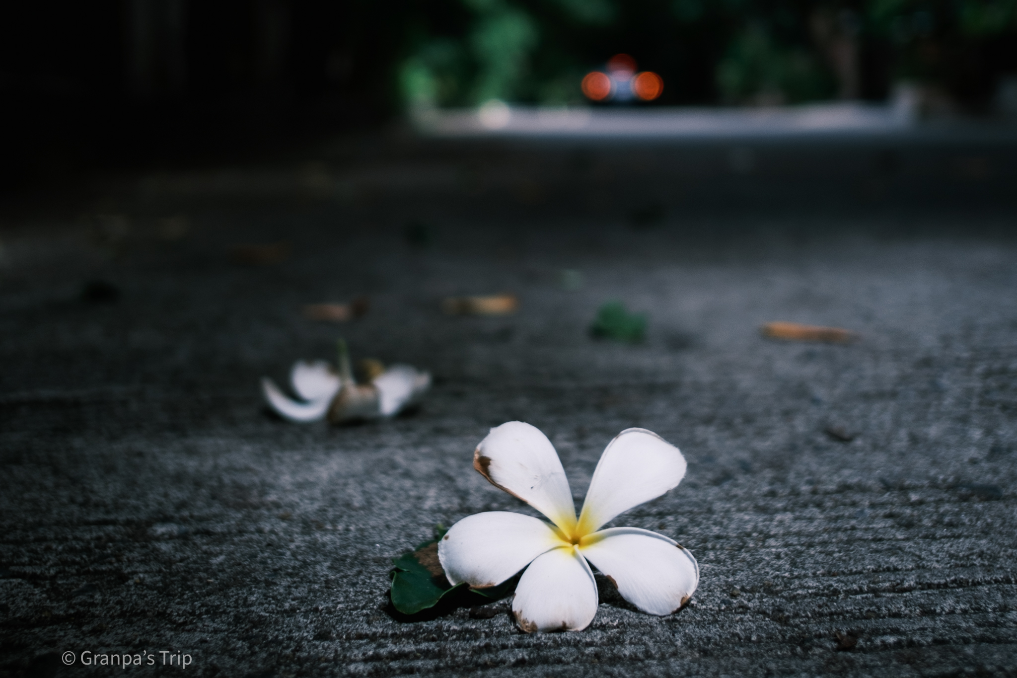 X-S10 f/2 1/2500sec ISO-400 18mm