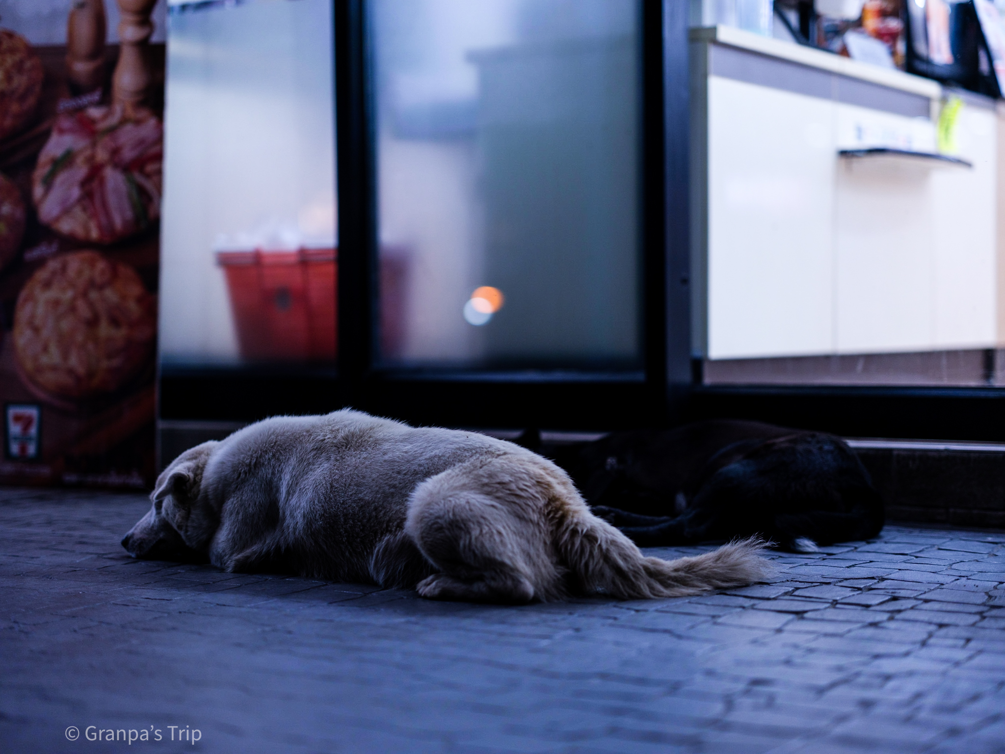 GFX50S II f/1.7 1/160sec ISO-400 80mm