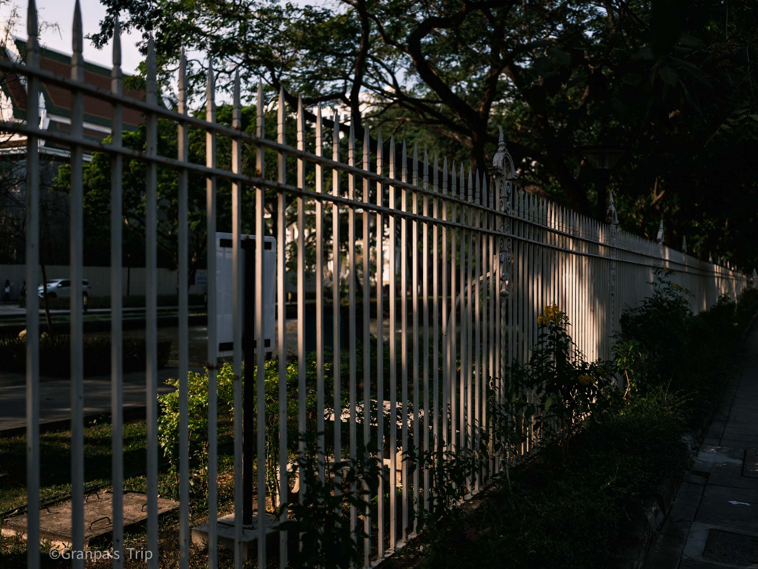 GFX50S II f/2.8 1/1250sec ISO-100 45mm