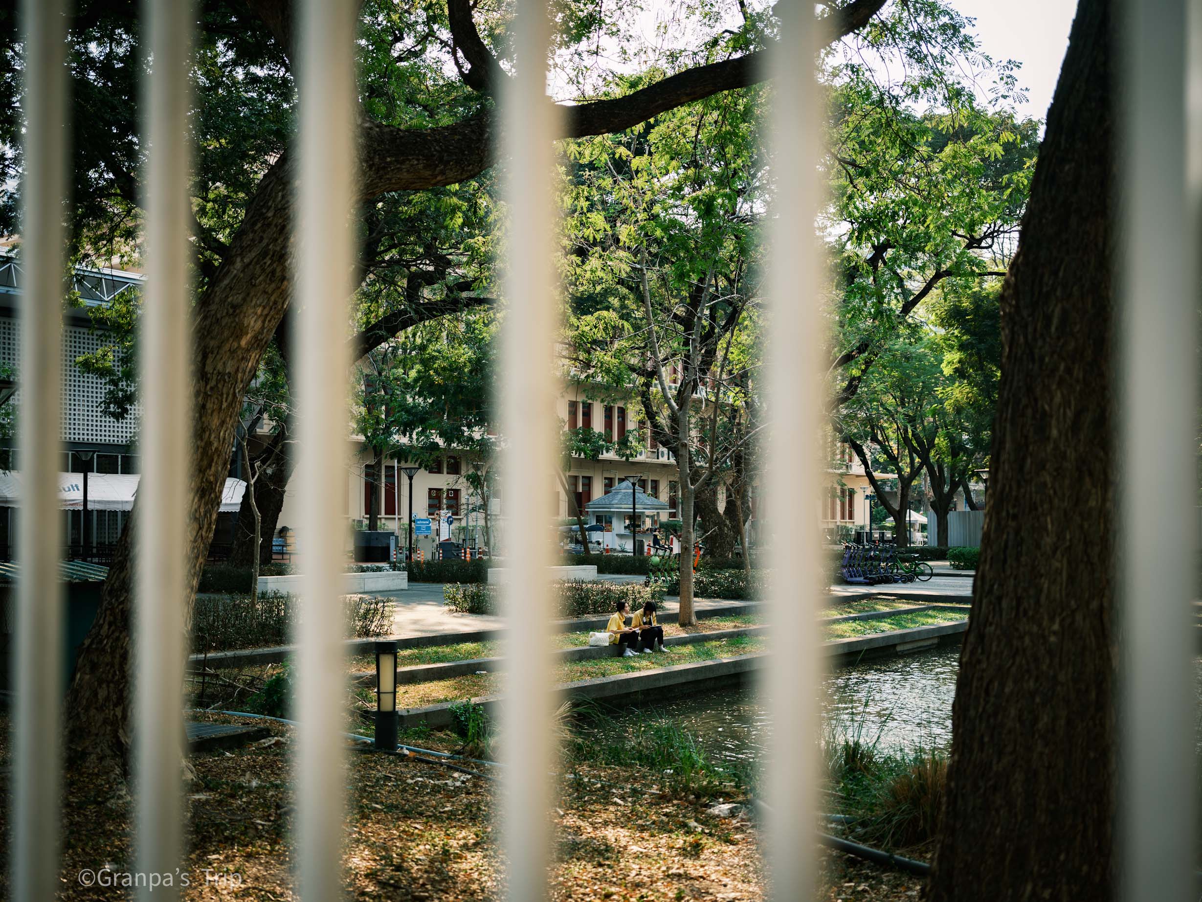 GFX50S II f/2.8 1/400sec ISO-100 45mm