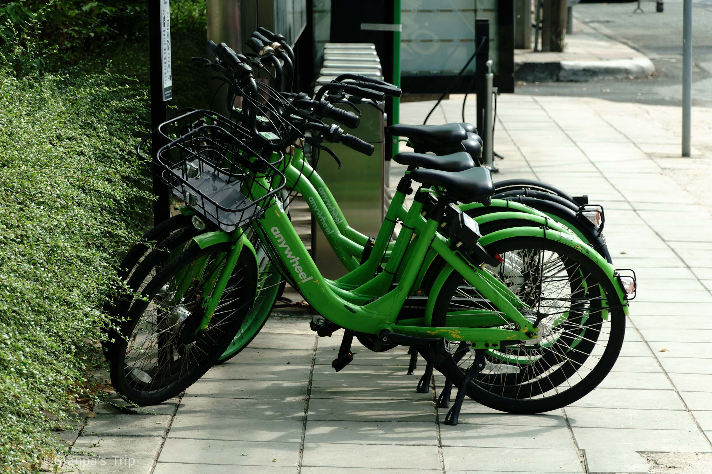 DSC-RX100M7 f/4.5 1/400sec ISO-100 58mm