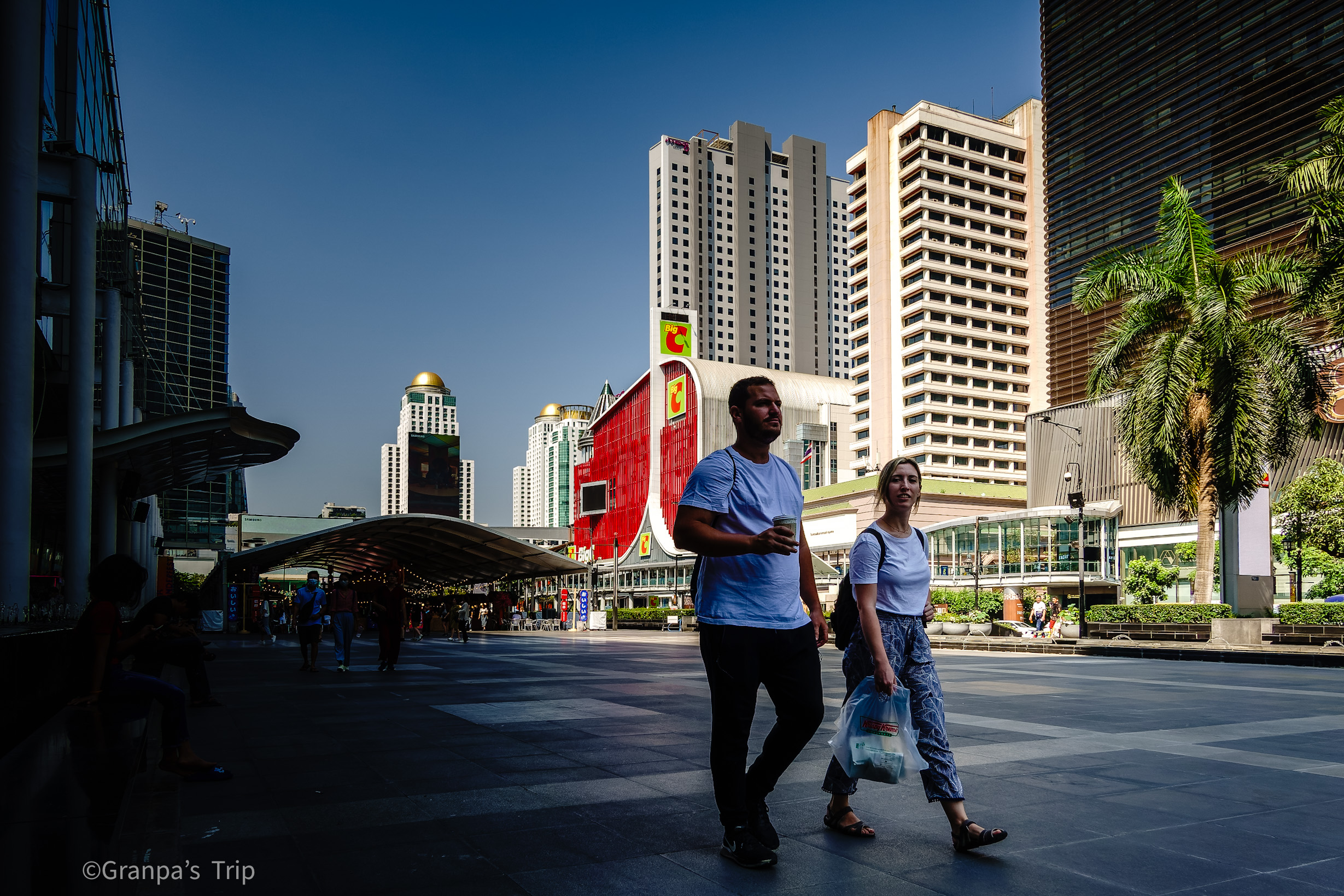 DSC-RX100M7 f/4 1/800sec ISO-100 9mm