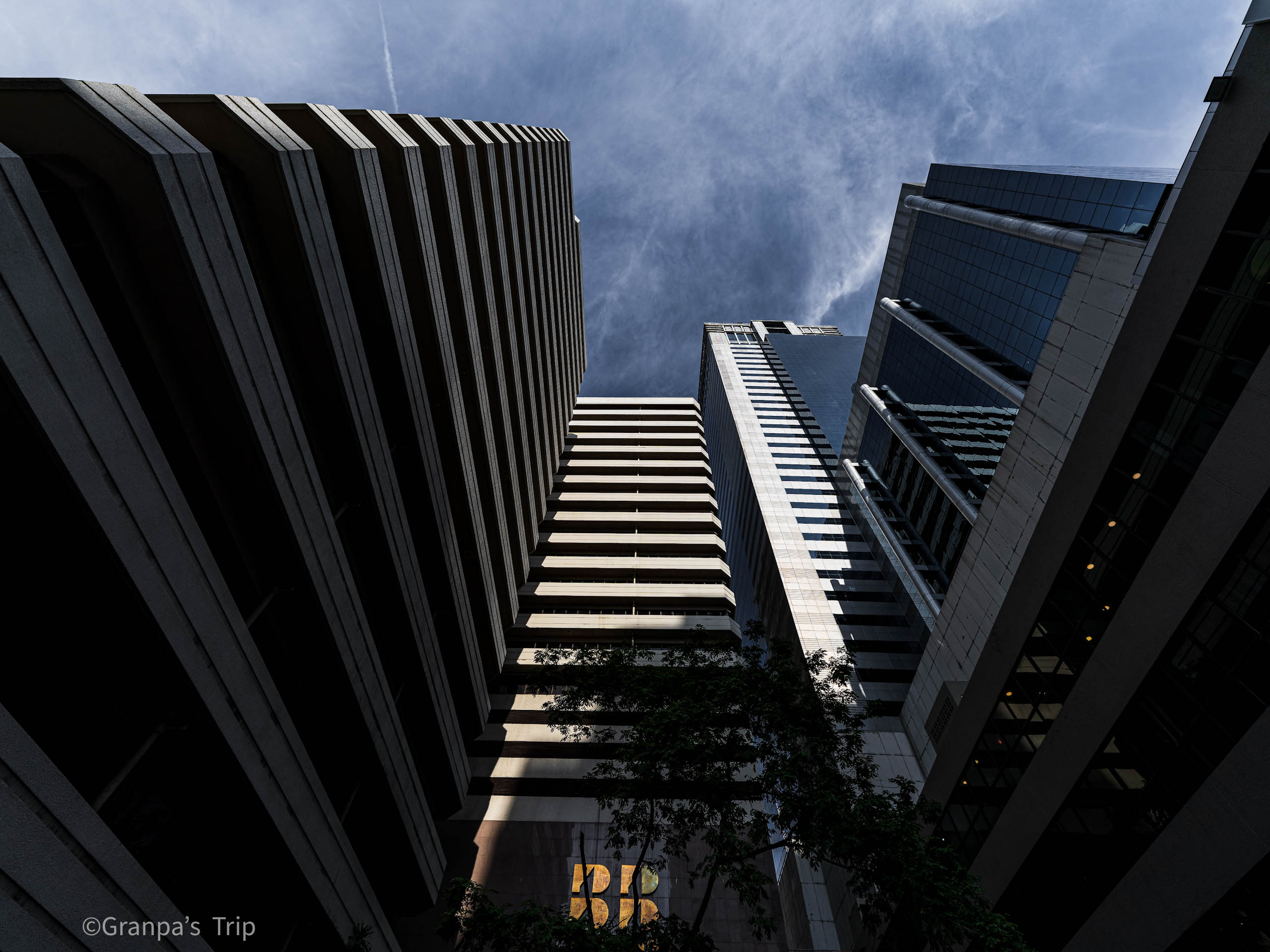 ILCE-7CR f/8 1/1250sec ISO-100 14mm