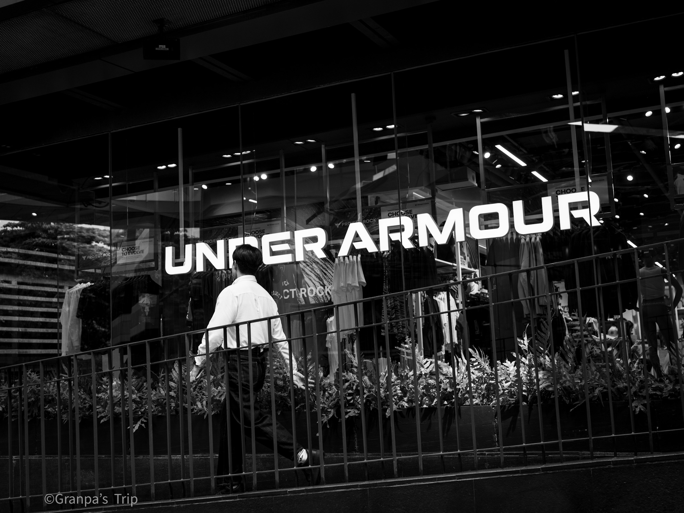 ILCE-7CR f/4 1/640sec ISO-400 40mm