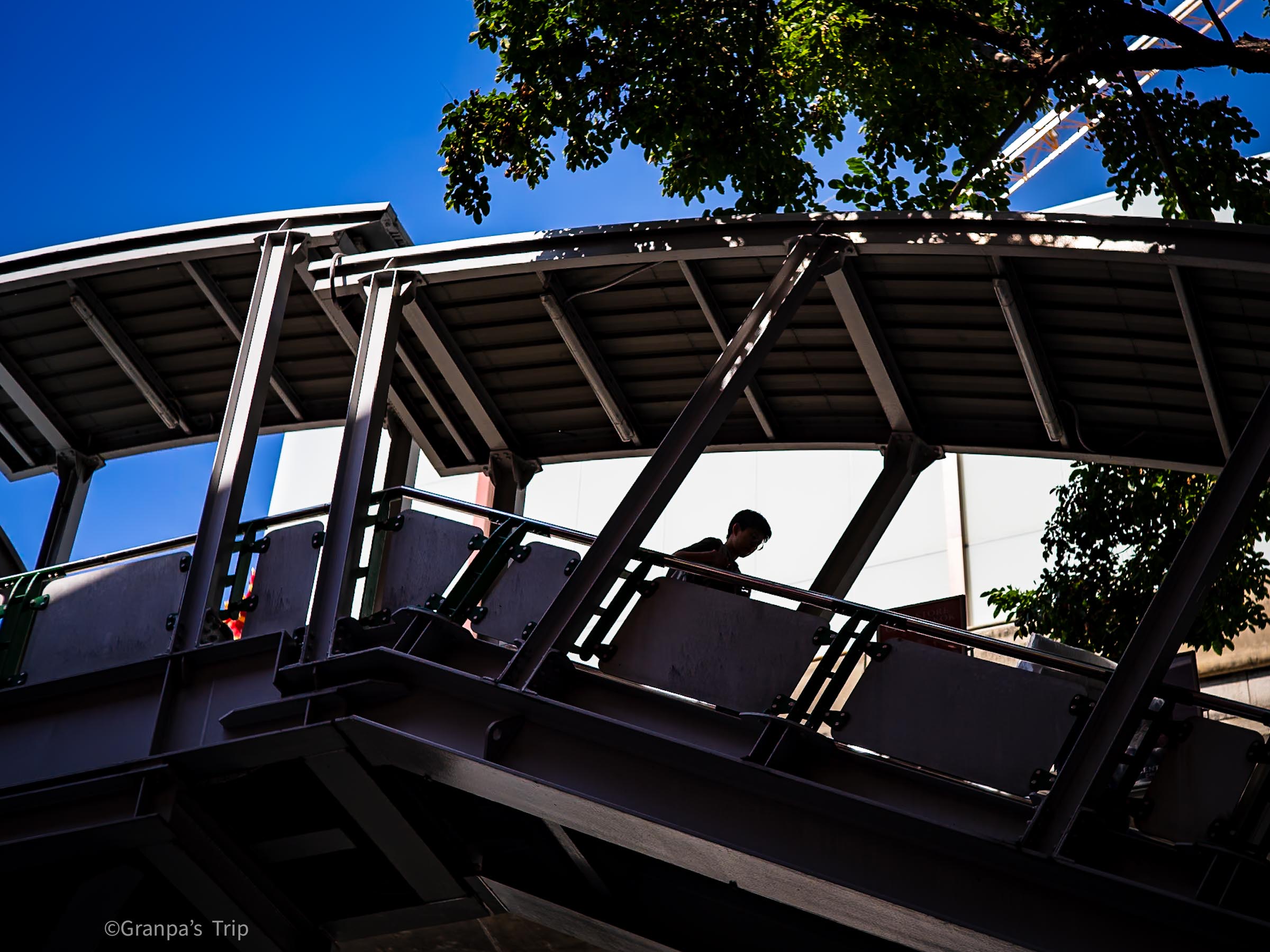 ILCE-7CR 1/800sec ISO-100 C Sonnar T*1.5/50 ZM