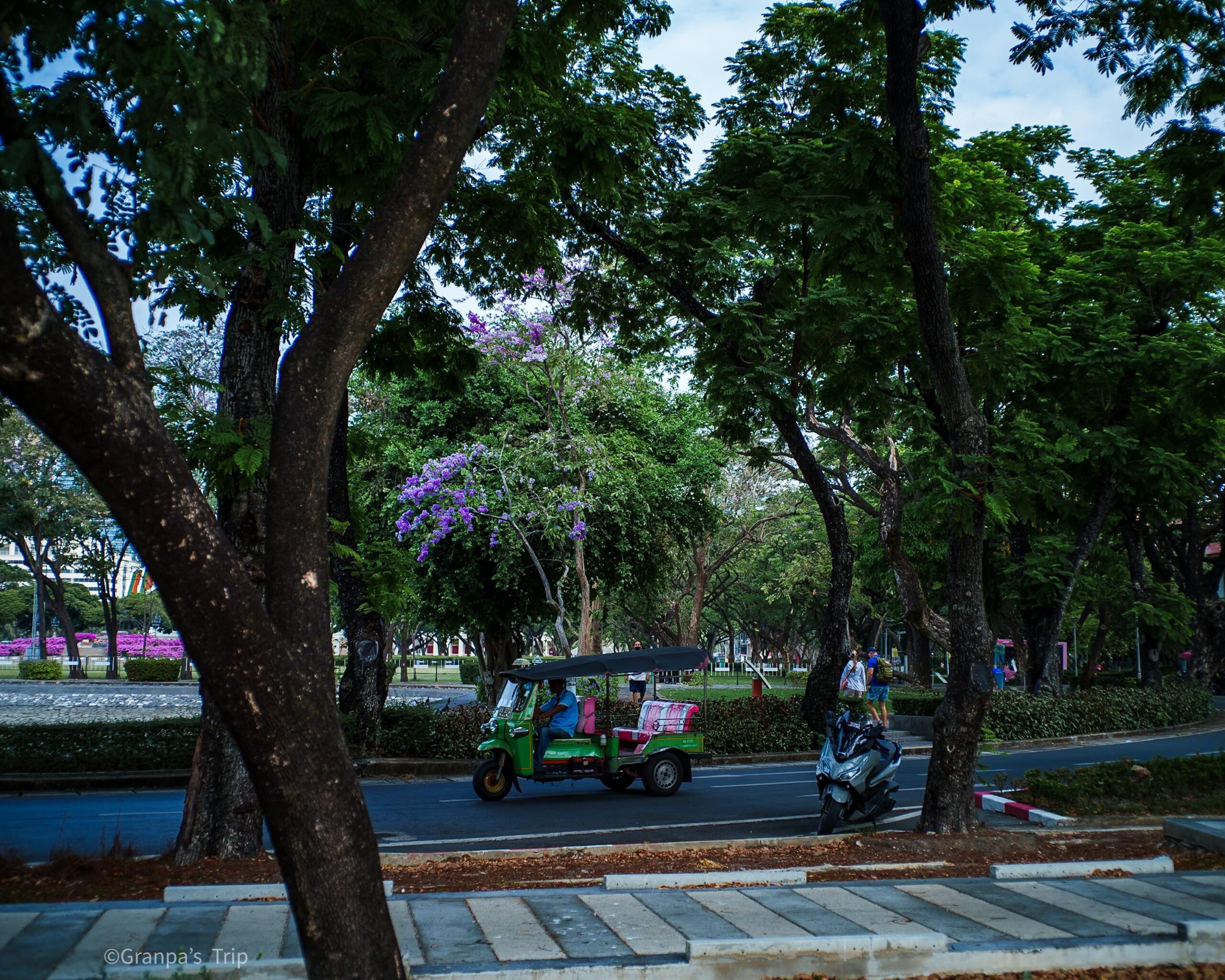 ILCE-7CR 1/640sec ISO-100 C Biogon T*2.8/35 ZM