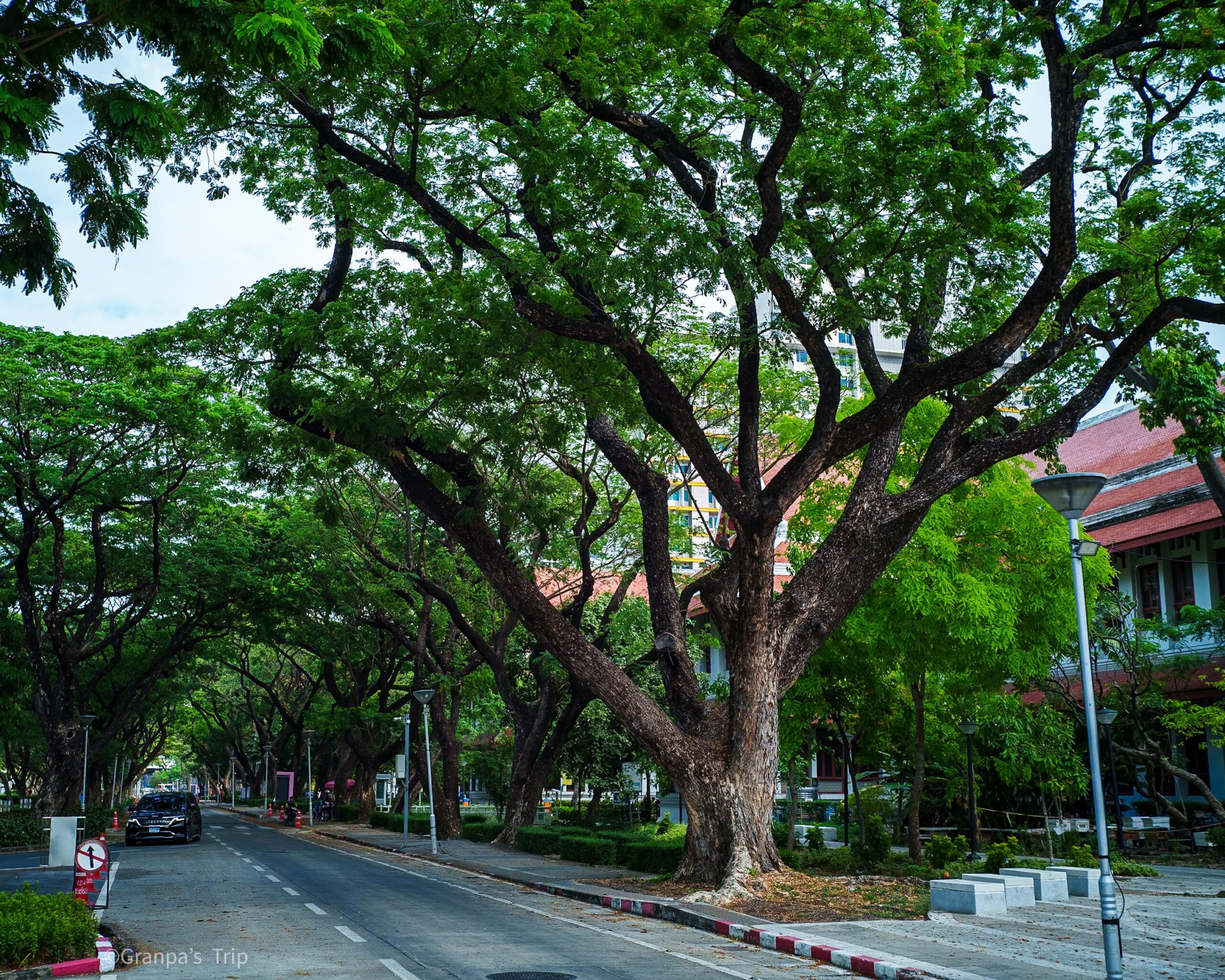 ILCE-7CR 1/400sec ISO-640 C Biogon T*2.8/35 ZM