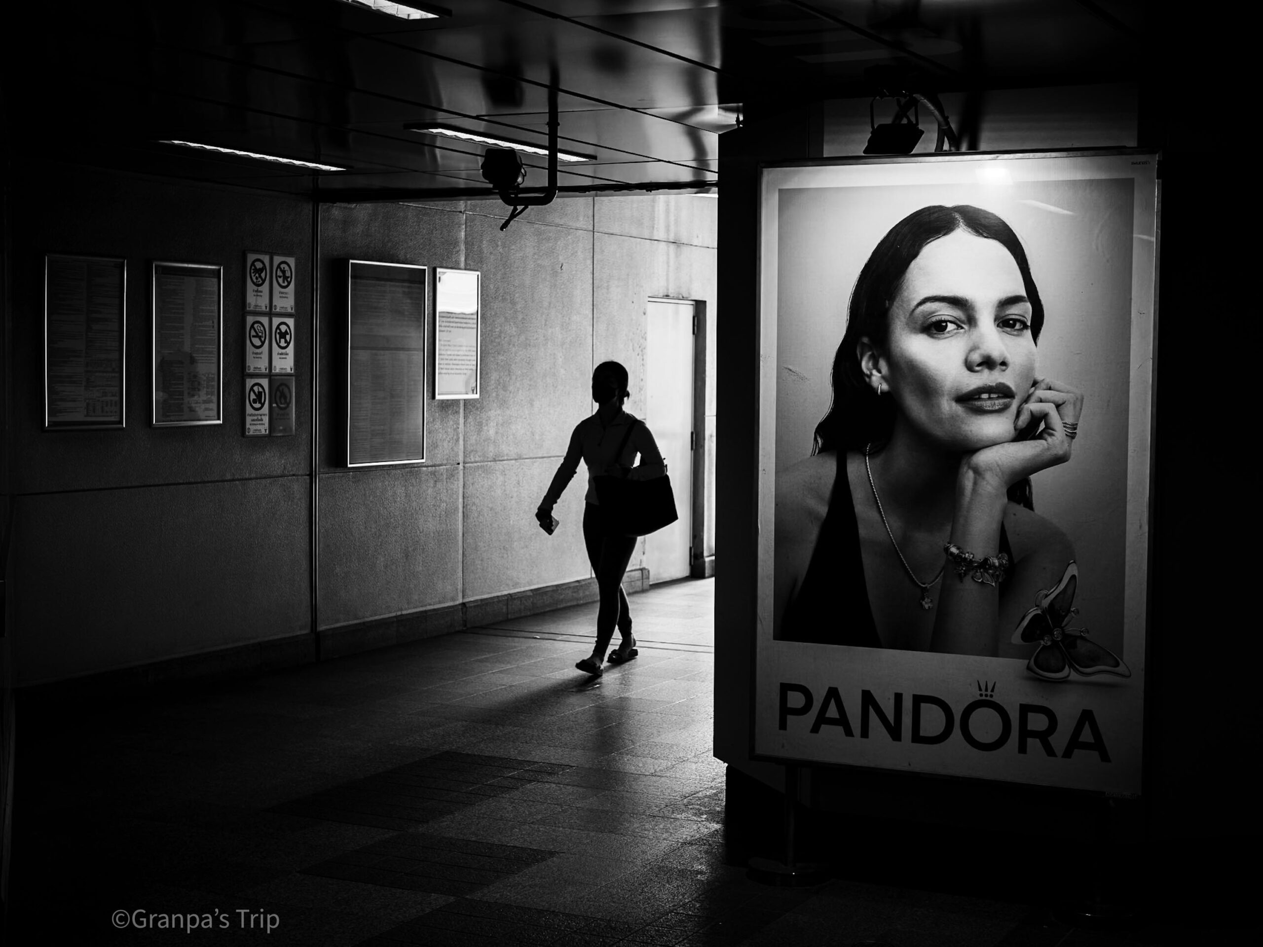 ILCE-7CR 1/125sec ISO-500 NOKTON 50mm F1 Aspherical