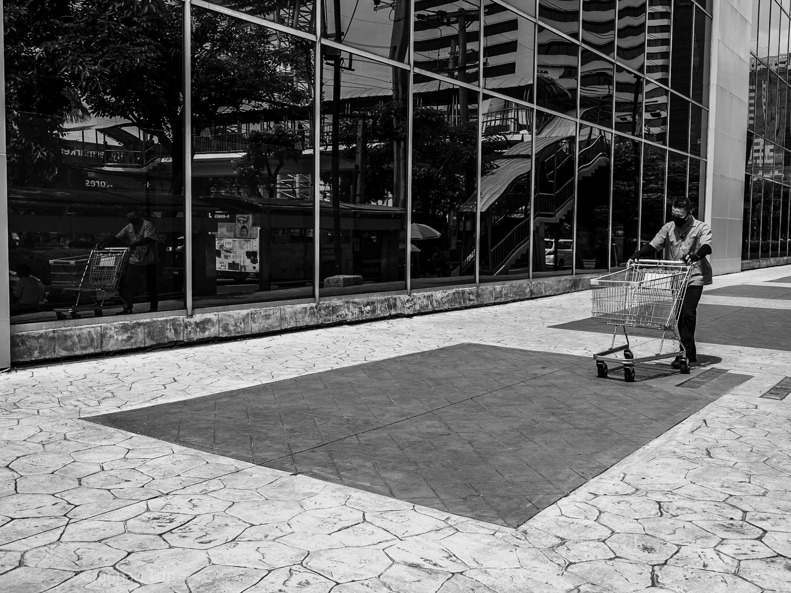 ILCE-7CR f/8 1/1000sec ISO-200 35mm