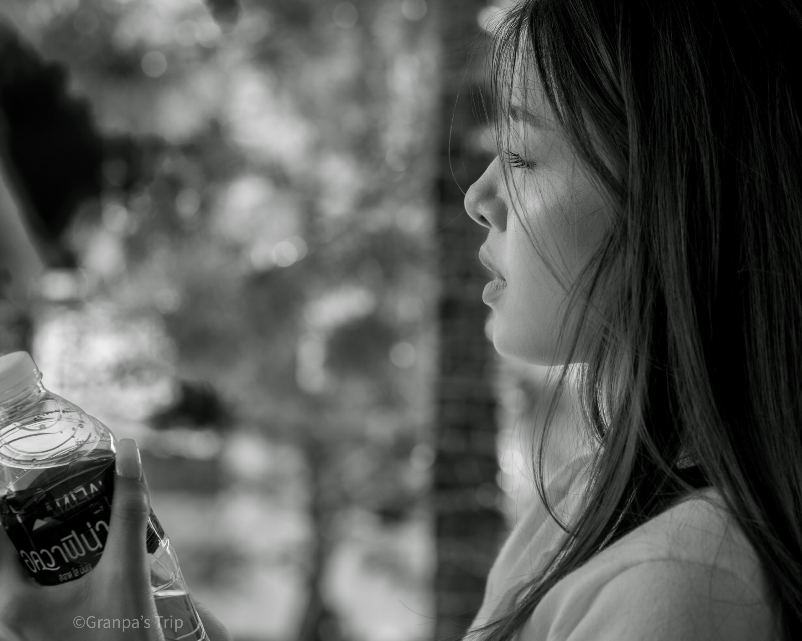 X-T5 f/4 1/125sec ISO-160 60mm