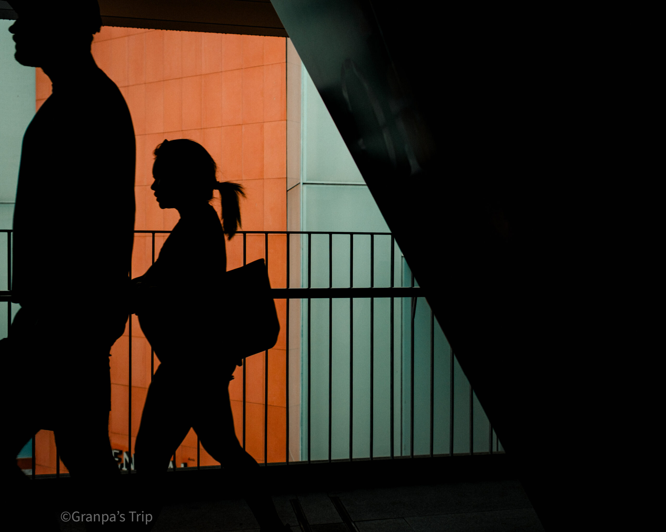 X-E5 f/4 1/250sec ISO-320 23mm