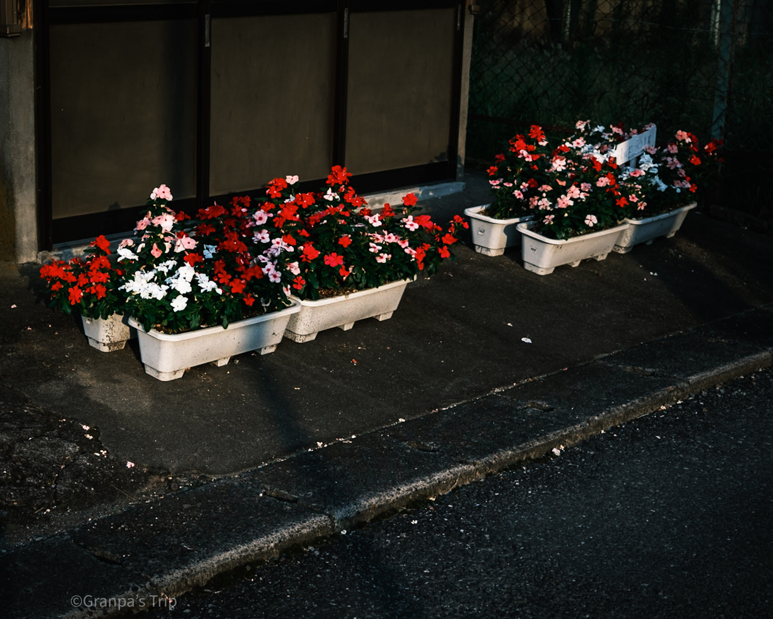 X-E5 f/2.8 1/950sec ISO-125 23mm