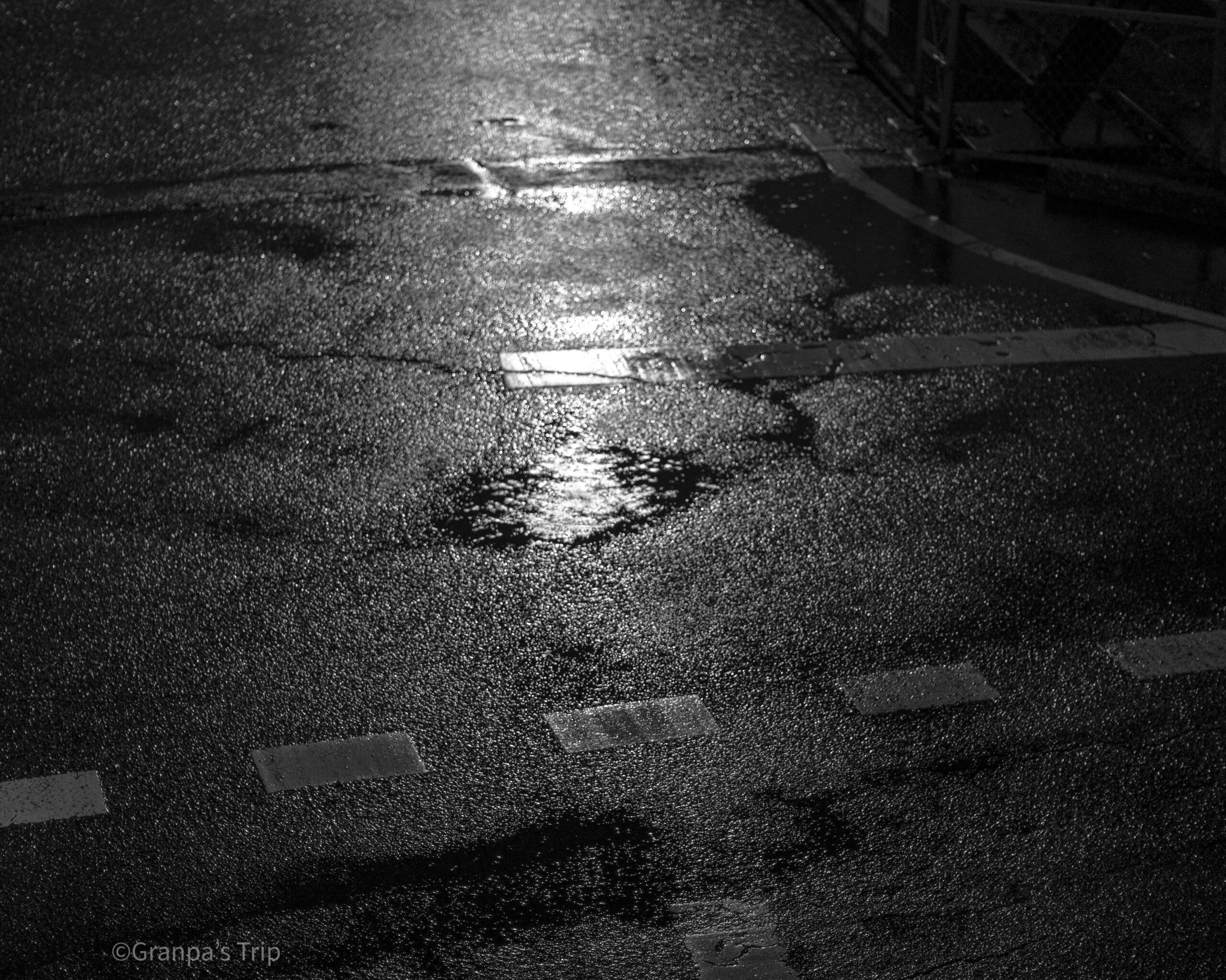 X-T5 f/1.2 1/15sec ISO-640 50mm